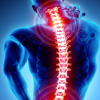 3D Illustration of Spinal cord, showing the concept of Spine Surgery