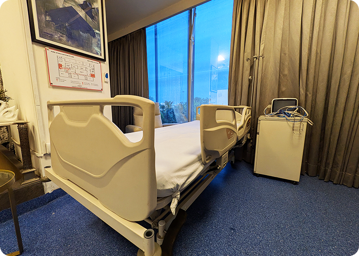 Bed