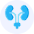 Urology