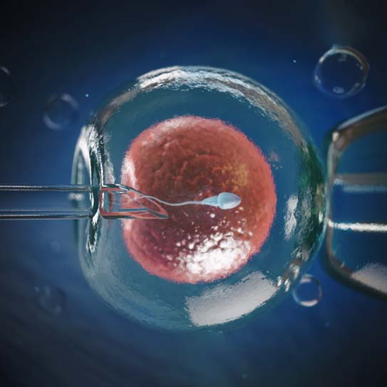 know-more-about-IVF-treatment-in-Coimbatore
