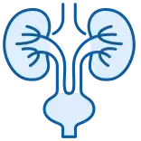 Urology